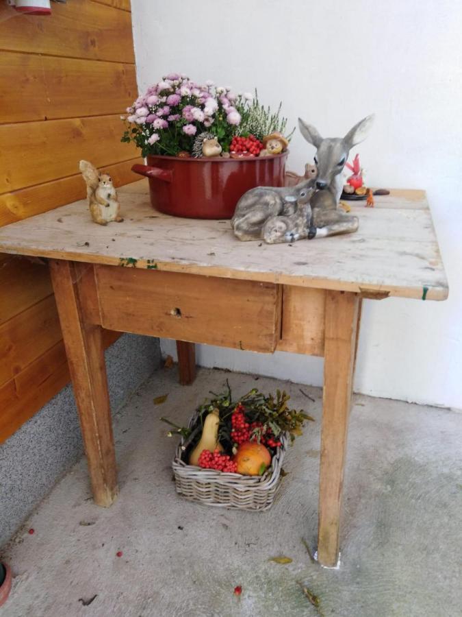 Ferienhaus Bauer Wohnung 2 Trattenbach  Luaran gambar